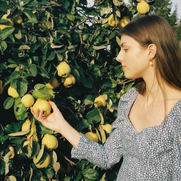 SOLD Wilfred Polly Dress, Like New - Picture 4 of 5